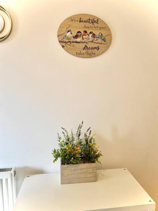 Luxurious Flat In Apartament Londra